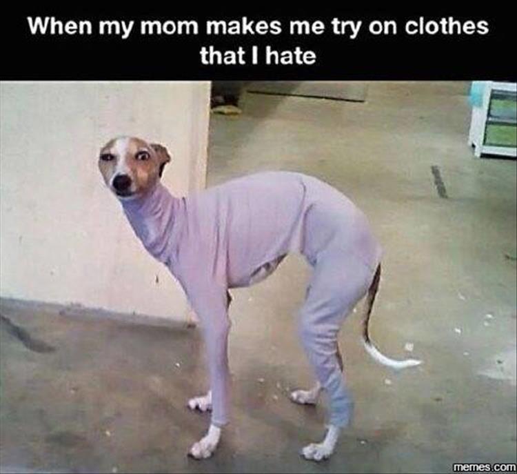 you can t stop laughing - When my mom makes me try on clothes that I hate memes.com