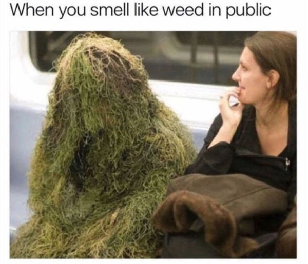 you smell like weed in public - When you smell weed in public