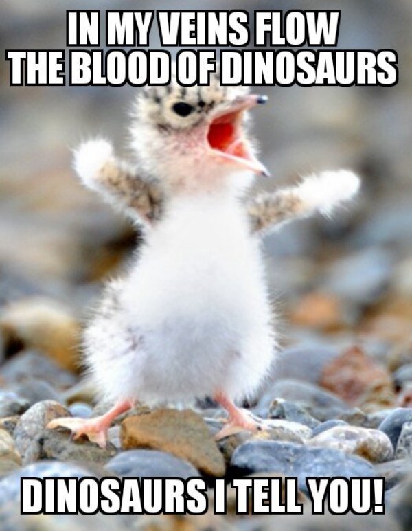 my veins flows the blood of dinosaurs - In My Veins Flow The Blood Of Dinosaurs Dinosaurs I Tell You!