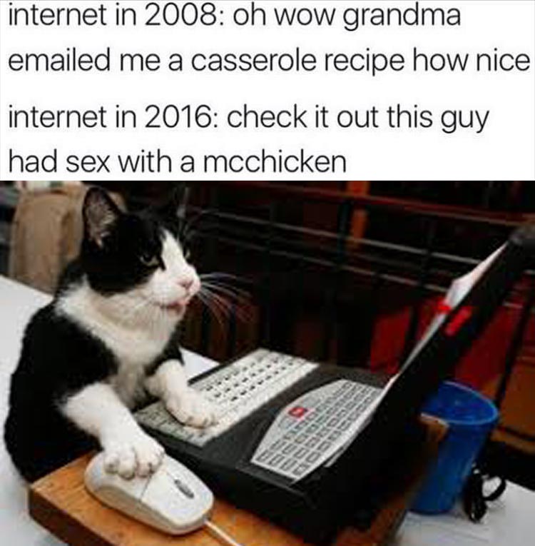 working cat gif - internet in 2008 oh wow grandma emailed me a casserole recipe how nice internet in 2016 check it out this guy had sex with a mcchicken