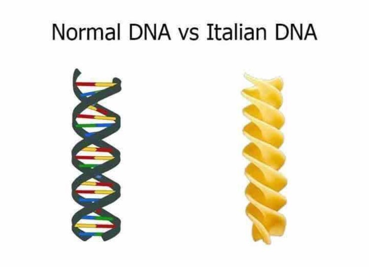 italian meme - Normal Dna vs Italian Dna Mooo