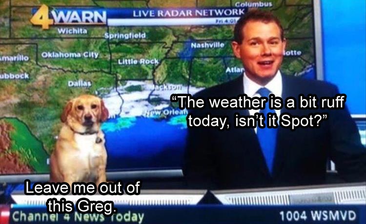 don t patronize me greg - Warn Wichita Columbus Live Radar Network Listov Springfield Nashville Little Rock Atlar ackson lotte marillo Oklahoma City ubbock Dallas rew Orleat The weather is a bit ruff comes today, isn't itSpot?" Leave me out of Channthis G