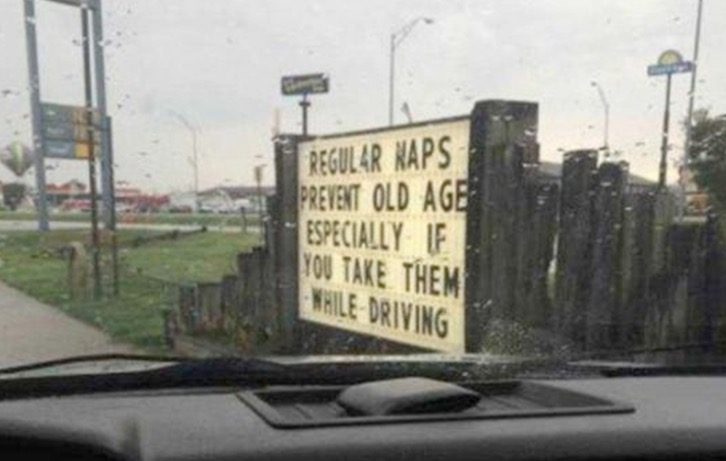 lane - Regular Naps Prevent Old Age Especially If You Take Them While Driving