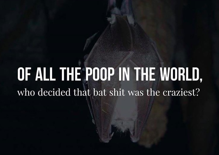 am meg - Of All The Poop In The World, who decided that bat shit was the craziest?