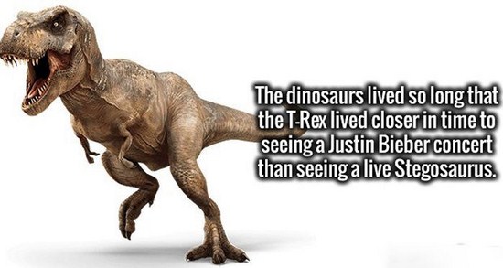 26 Extremely Interesting Fun Facts!