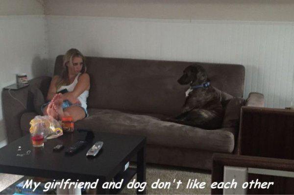 36 Most Hilarious Photos You'll See Today!