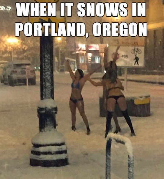 funny portland oregon - When It Snows In Portland, Oregon