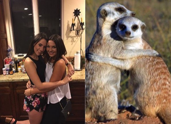 27 Proofs That Sorority Girls Are Just Like Meerkats!