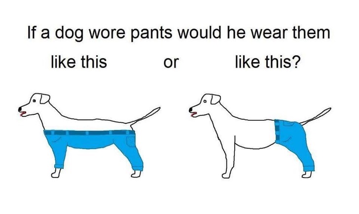 24 Extremely Important Questions That Internet Deserves Answered