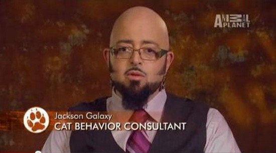 21 Weird job titles that a human can ever get in his lifetime!