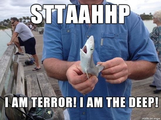 Funny meme of a shark that is tiny but with caption implying he thinks he is a much larger and scarier fish.