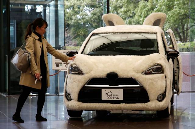 funny looking Toyota that looks like some kind of bunny