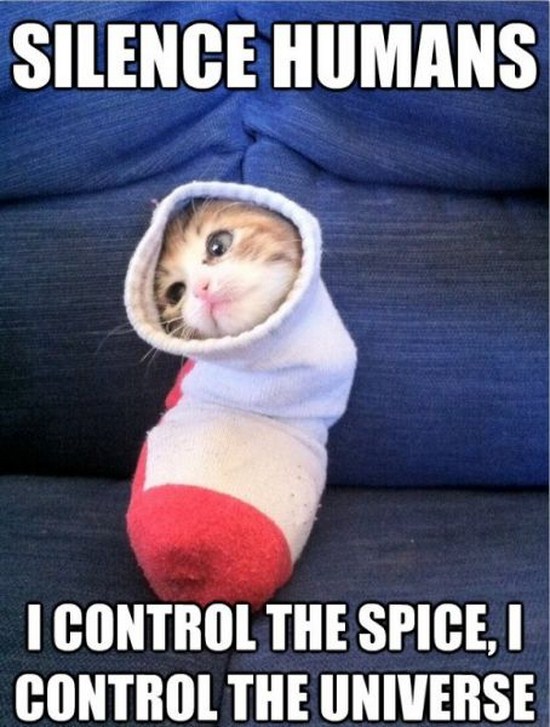 meme - control the spice i control the universe - Silence Humans I Control The Spice, I Control The Universe