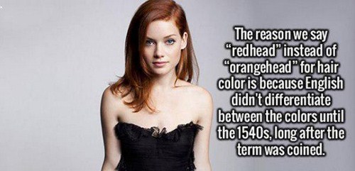 28 Fun Interesting Facts To Share!