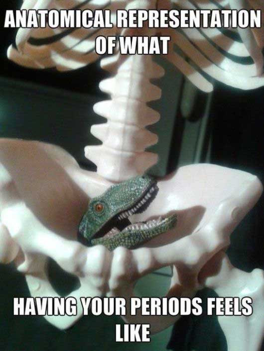 period feels like - Anatomical Representation Of What Having Your Periods Feels