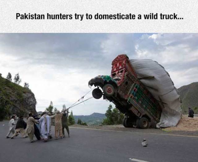 funny picture of truck up in the air with caption joking that Pakistani hunters are trying to domesticate a wild truck