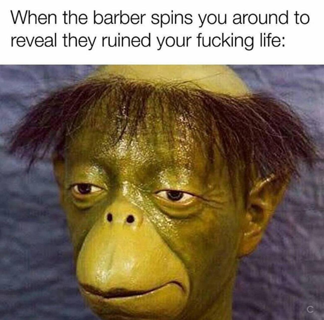 most random pictures on the internet - When the barber spins you around to reveal they ruined your fucking life
