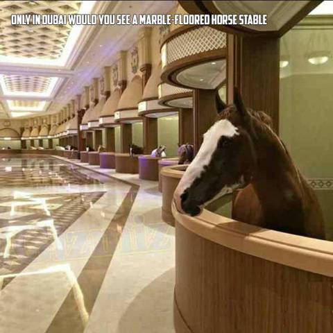 nice stables - Only In Dubai Would You See A MarbleFloored Horse Stable