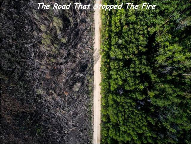 road that stopped the fire - The Road That stopped The Fire