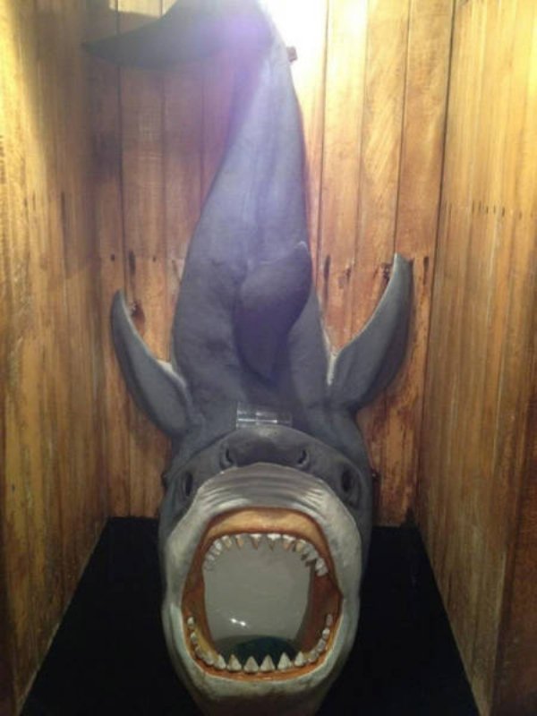 shark toilet