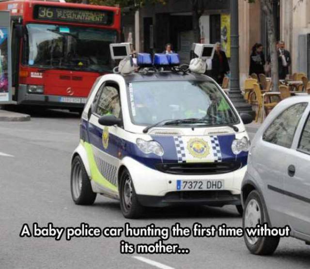 cool baby police car - 36 but J7372 Dhd Ababy police car hunting the first time without its mother...