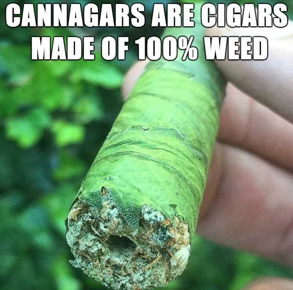 cool cigar made of 100 weed - Cannagars Are Cigars Made Of 100% Weed