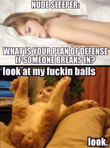 cool look at my balls meme - Nude Sleeper What Is Your Plan Of Defense If Someone Breaks In? "look at my fuckin balls look.