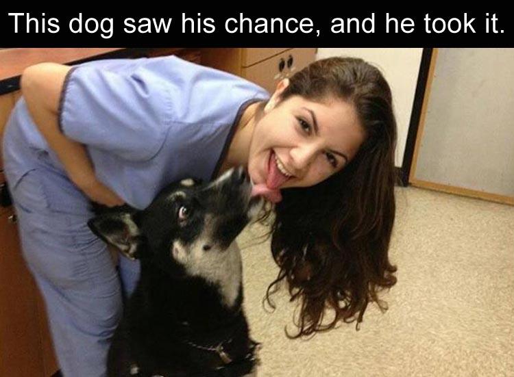 36 Fun Filled Photos To Make Your Workday Better