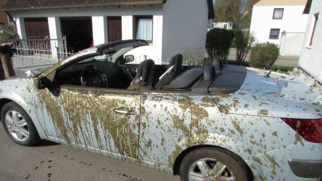Funny picture of a convertible covered in mud.
