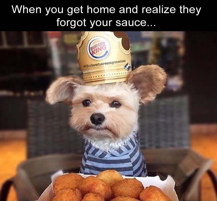 dog with burger king crown - When you get home and realize they forgot your sauce... resmymeme Odudew