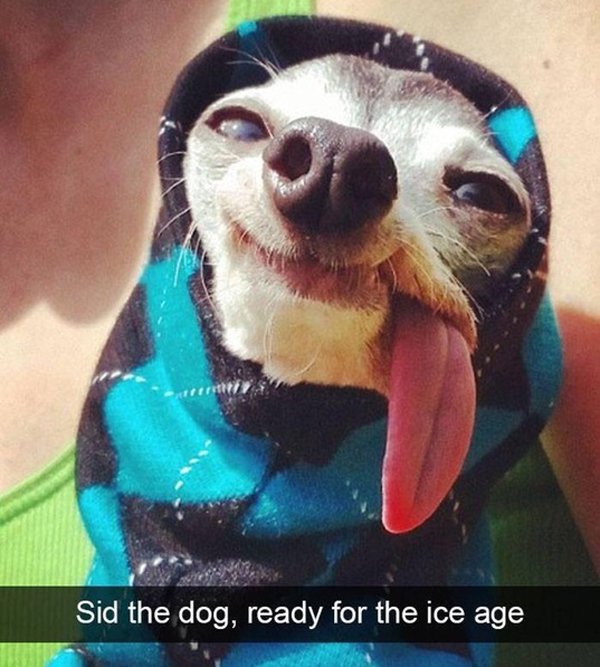 35 Fun Filled Photos To Make Your Workday Better