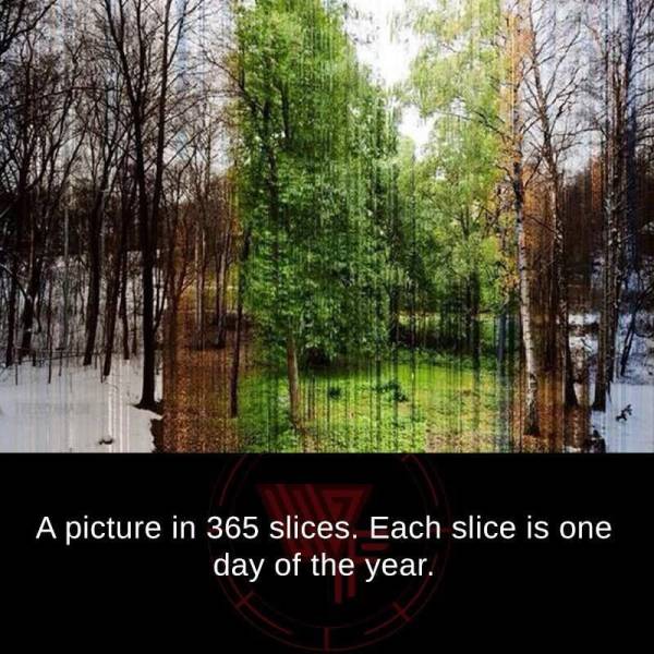 random pic 365 slices - A picture in 365 slices. Each slice is one day of the year.