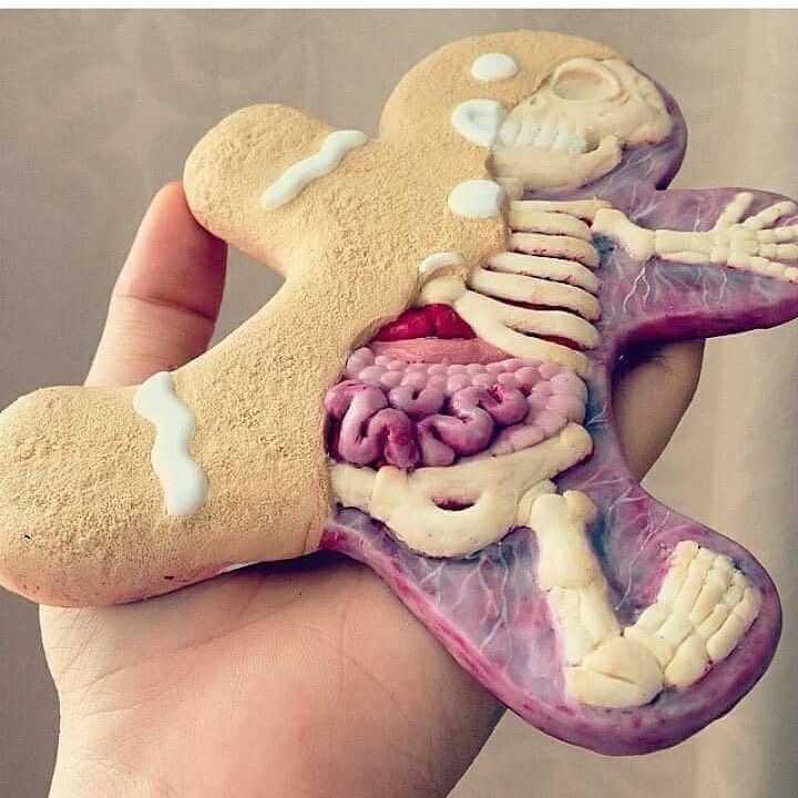 anatomy gingerbread