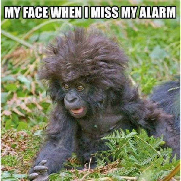 my face when i miss my alarm - My Face When I Miss My Alarm