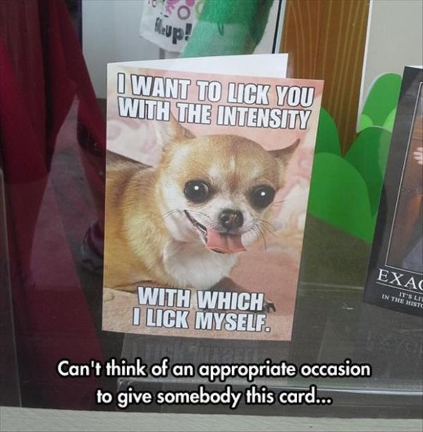 want to lick you with the intensity - fup! I Want To Lick You With The Intensity Exac In The Histo It'S Li With Which I Lick Myself. Can't think of an appropriate occasion to give somebody this card...