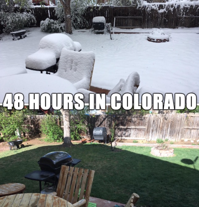 yard - 48 HoursInColorado