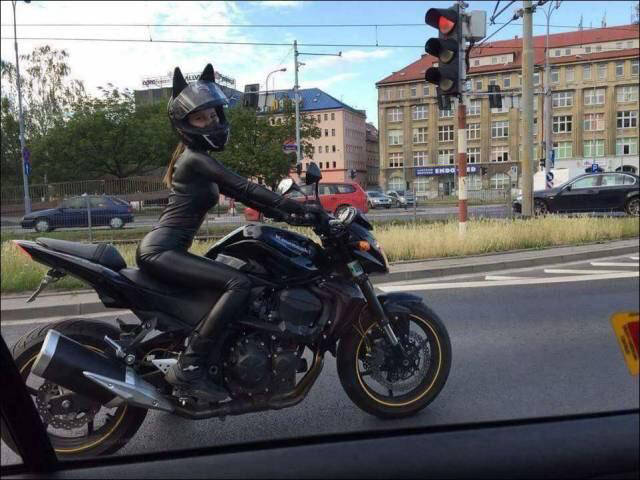 random catwoman motorcycle helmet