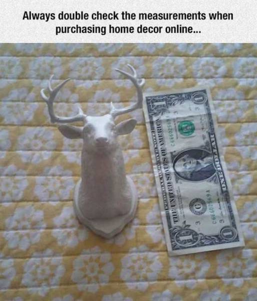 Trophy of a bucks head that is about the size of a dollar bill, with caption saying to always check measurements when buying home decor.
