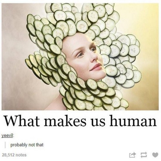 makes us human cucumber - What makes us human veevil probably not that 28,512 notes