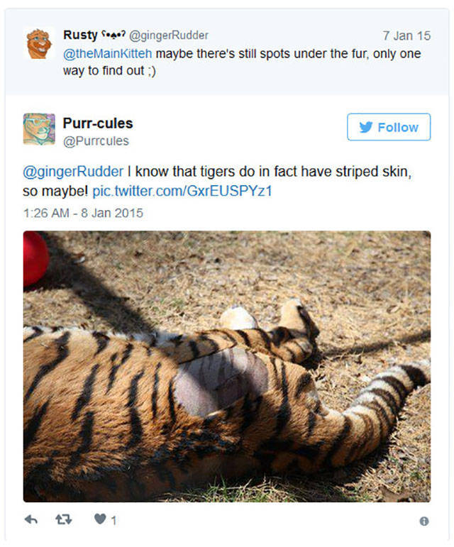 Nobody Really Knew What Was Hidden Under Tiger�s Striped Fur