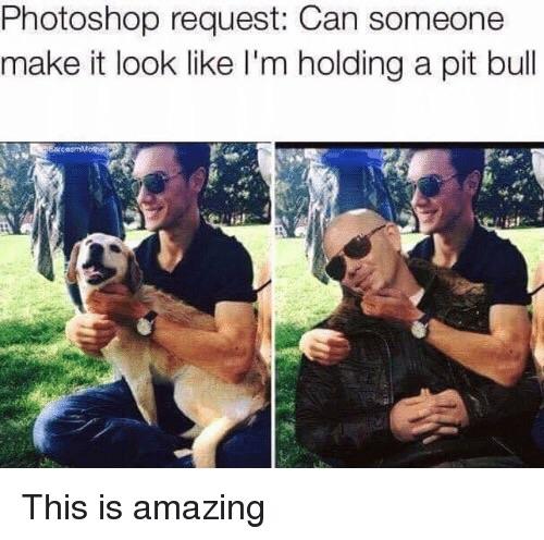 Photoshop request to put a pitbull into a pic and they do the rapper, not a dog.