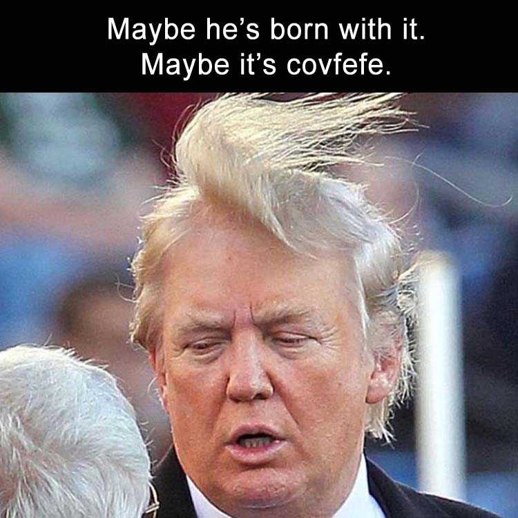 Covfefe meme of Donald Trump's hair.