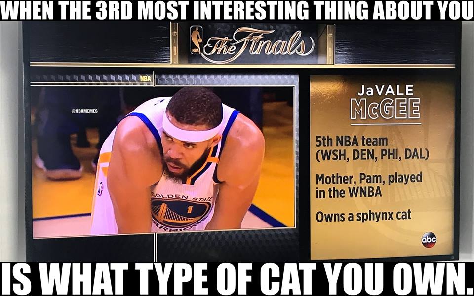 Basketball player with fact that he owns a cat on screen.