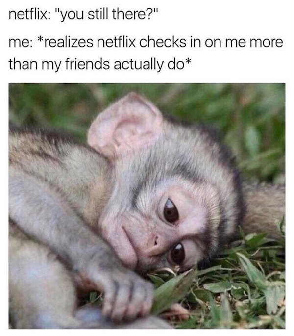 Sad monkey meme when you realize Netflix checks on you more than friends.