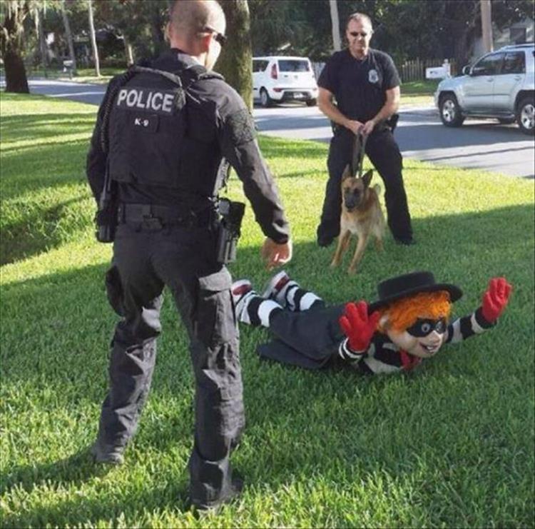 hamburglar on drugs - Police