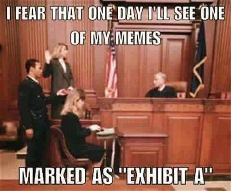 Meme about that fear of seeing your memes marked as Exhibit A one day.