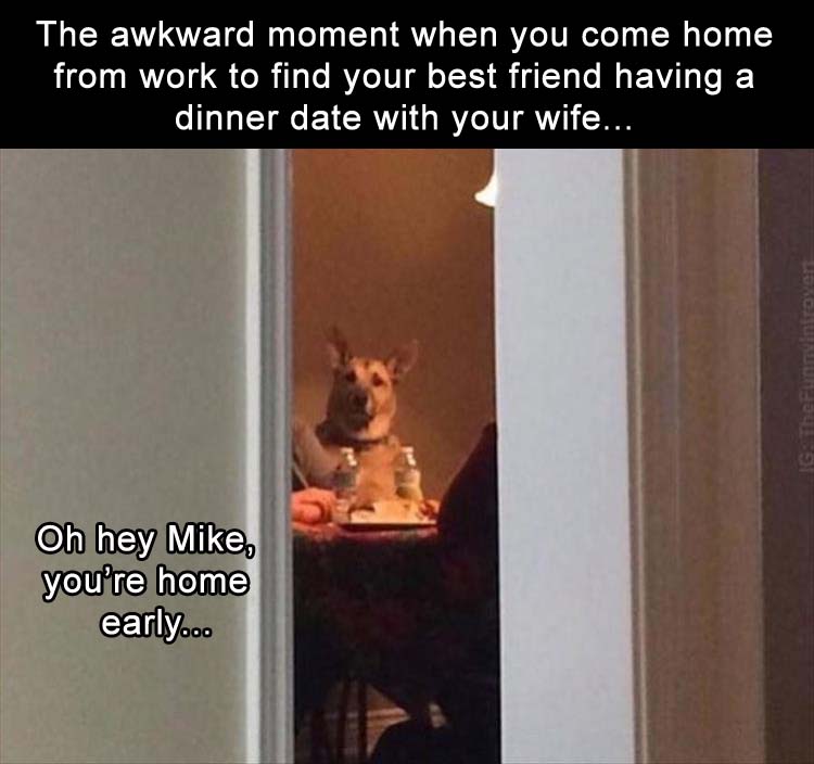 Funny meme of a dog having a dinner date with the wife.