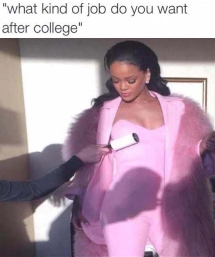 Meme about being asked about what kind of job do you want and pic of someone with a sticky roller getting the lint off of Rihanna's pink dress.