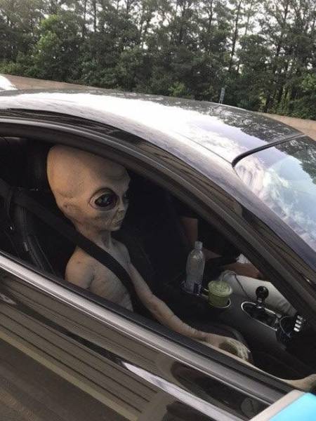 random pic alien in passenger seat