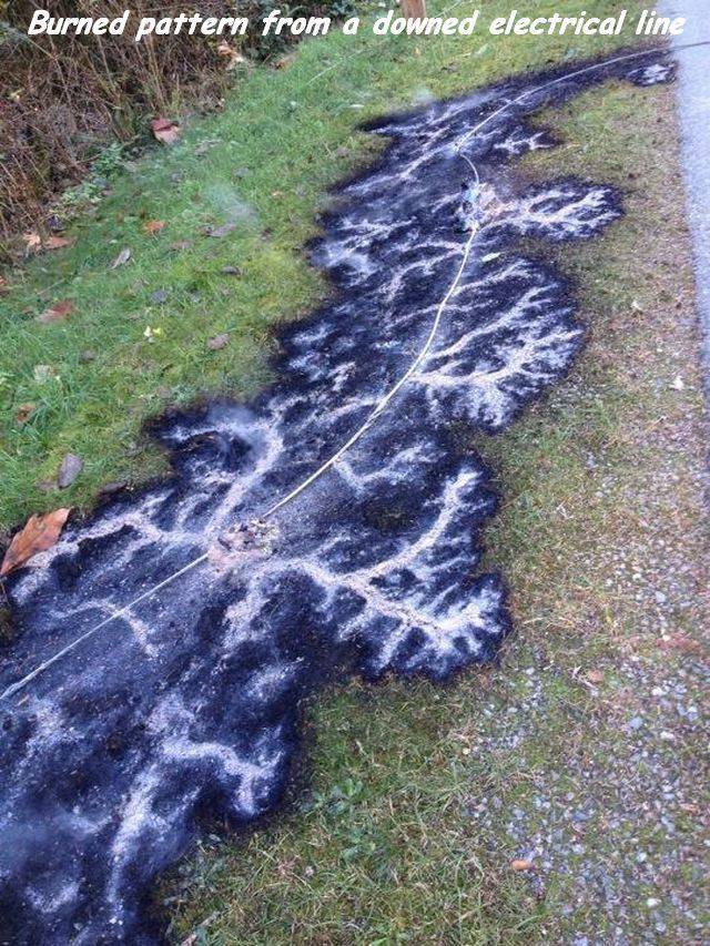 random pic power line burn pattern - Burned pattern from a downed electrical line